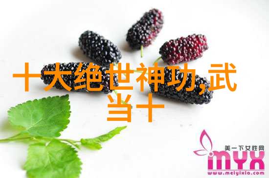 主题我揭秘金庸小说中的所有武功名称从天龙八部到笑傲江湖