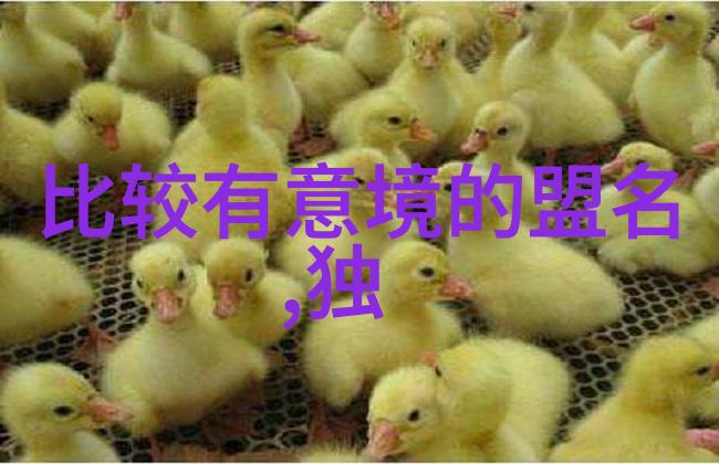 武功秘籍网我心中的武林宝库揭秘如何在网上学得一手好招数