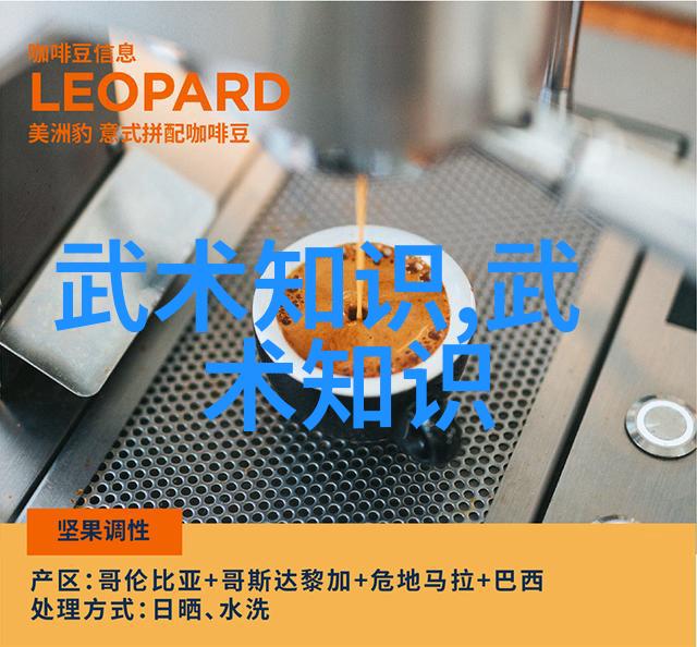 武林八大派之谜昆仑派太极门揭秘未知的拳种力量