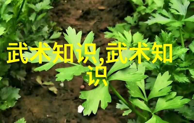 武学启航功夫之路的初心与梦想