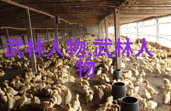 人与禽性我和鸟儿的秘密对话