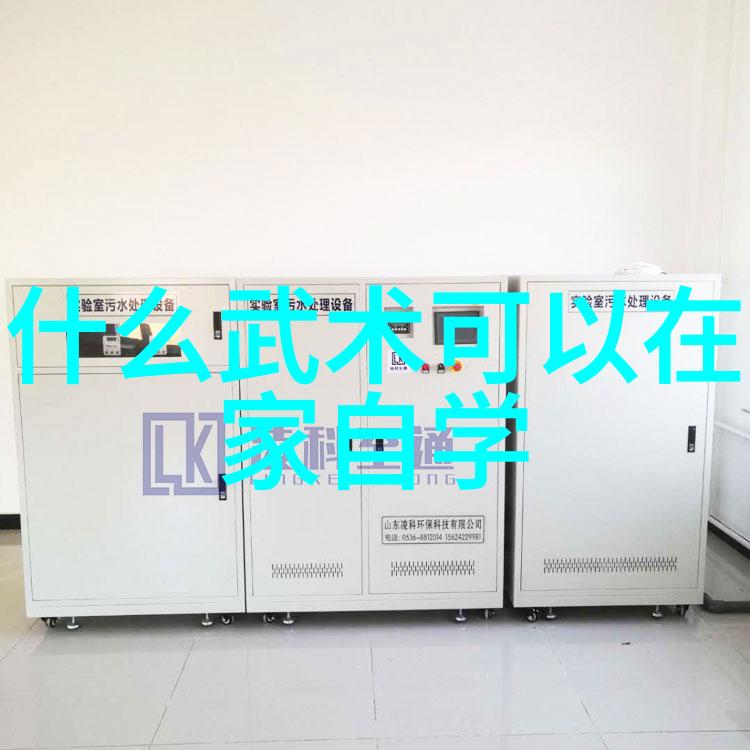 武林绝学之谜揭秘江湖中最神秘的武术流派