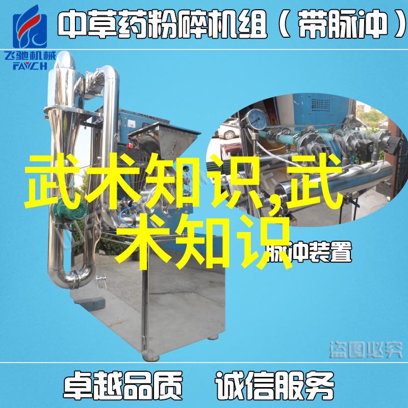 24式太极拳口诀解析揭秘内外相随之动静一致的武学奥秘