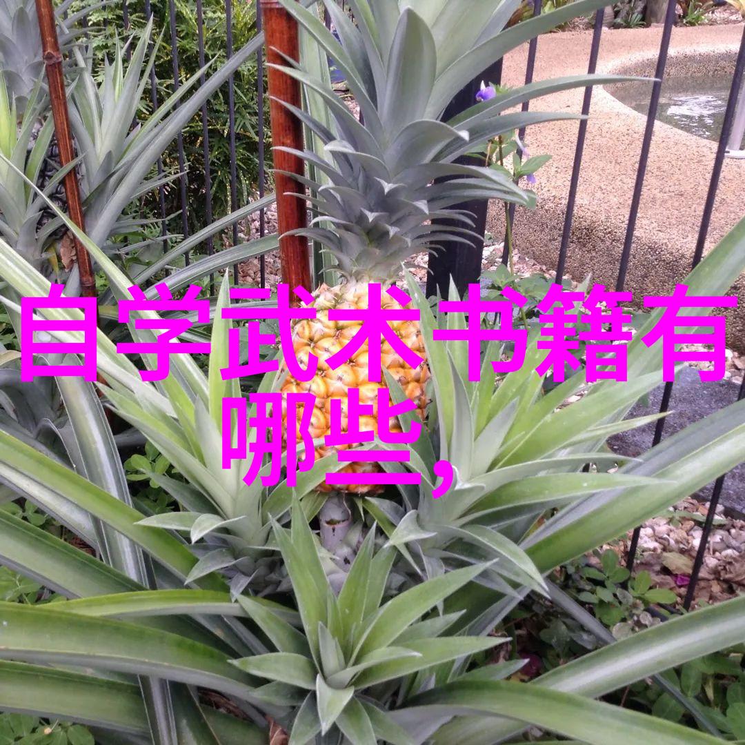 武林绝技图解揭秘古老拳法之奥秘