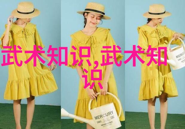 六大门派秘籍三皇炮锤拳揭秘收入之谜