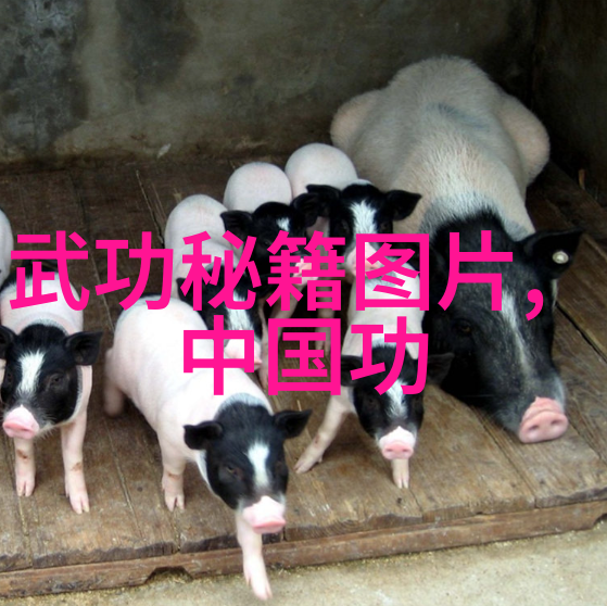 从菜鸟到武林盟主普通人如何逆袭