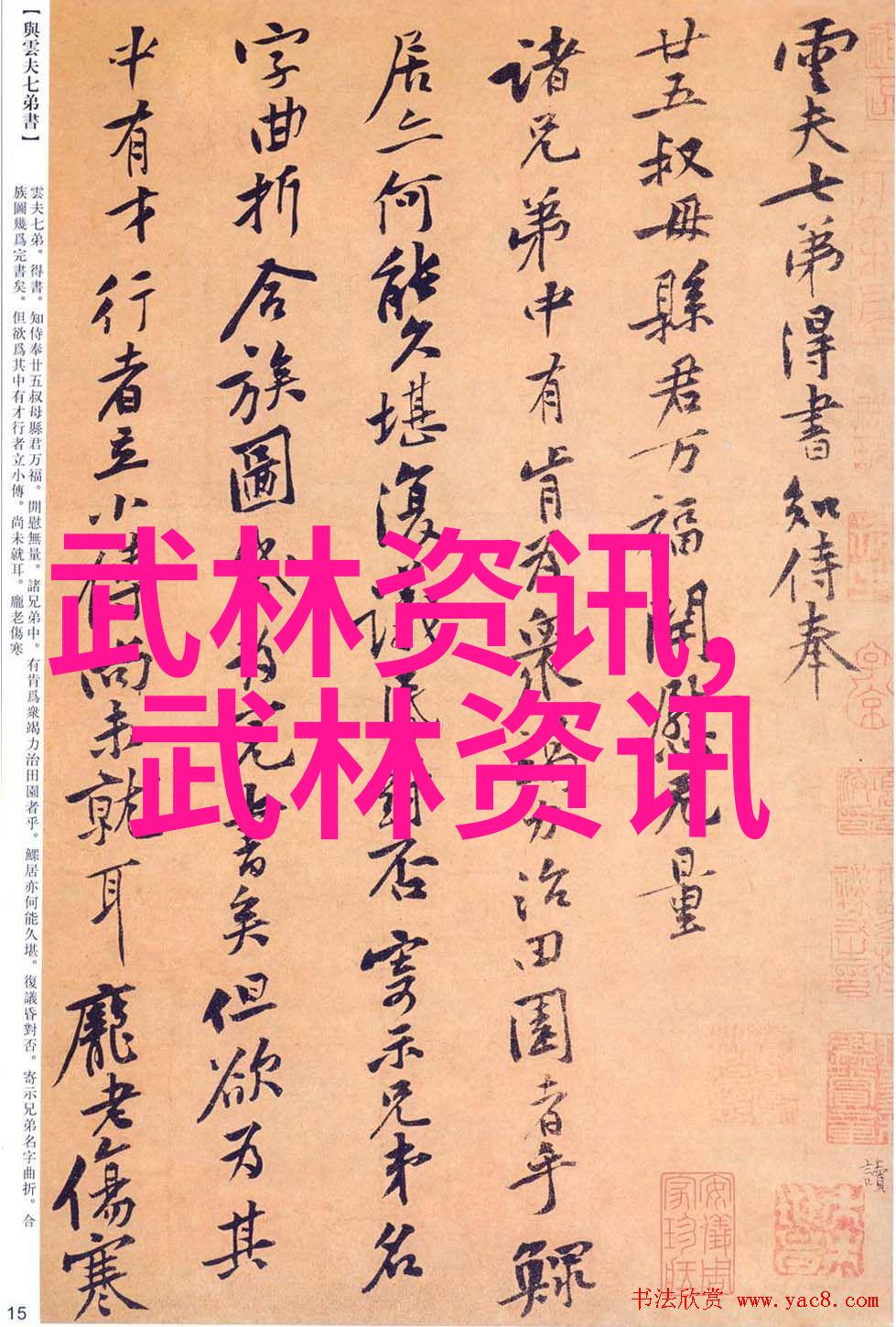 掌握基本招式入门拳法的核心训练