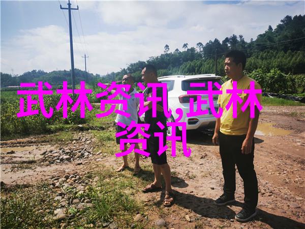 湖南武术门派沉淀千年之韵激扬江湖之风