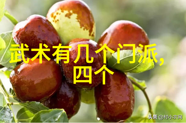 世界上最强武功之谜揭秘中华武林绝学