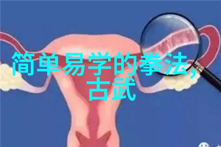 内家外派探索武功秘籍大全中不同拳法风格