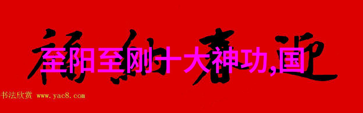霸道风云戳脚翻子拳