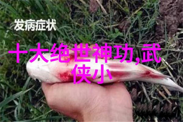 也谈杨式太极是一家我想学功夫心向东方古道中那一位行走在江湖的神秘大师