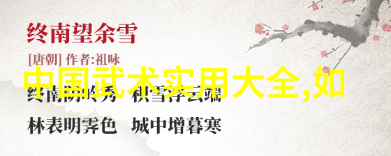 中国武术的丰富多样性拳法的风采与魅力