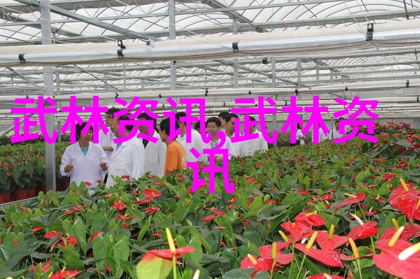 霸道与雅致的双重奏鸣探索两个字帮会名字的秘密