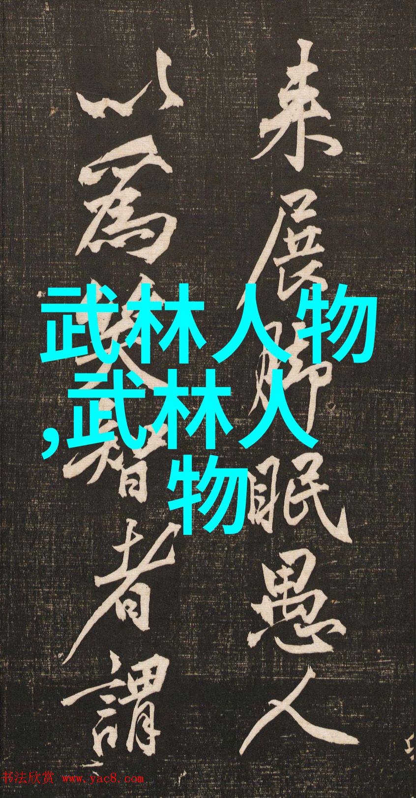 太极虎背功武术之中流动的风暴与静谧的力量