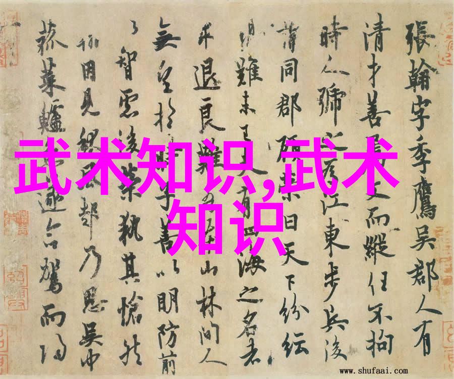 武术自学我是怎么通过一本书掌握的街舞拳法