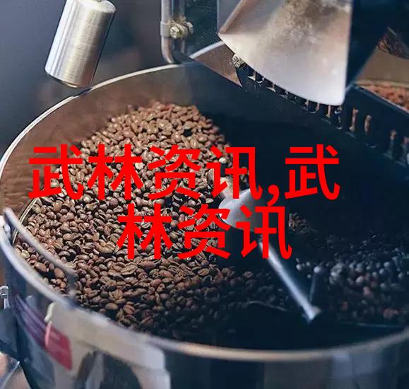 太极拳学习-掌握24式太极拳口令全套精准动作的艺术秘诀