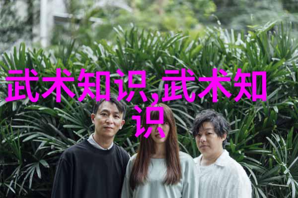 武林绝学杨氏太极拳揭秘武林十大门派之巅