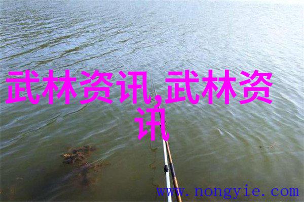 解析太極拳二十四勢動作細節與修煉心得分享