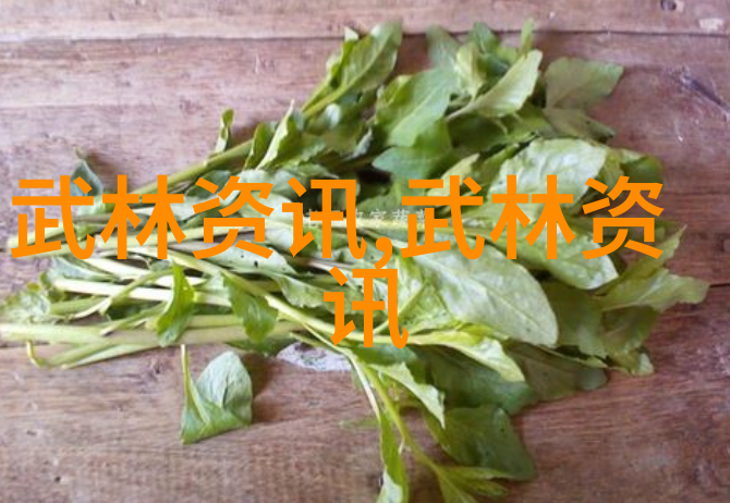 门派拳种济宁查拳揭秘江湖中的古老传说与隐世力量