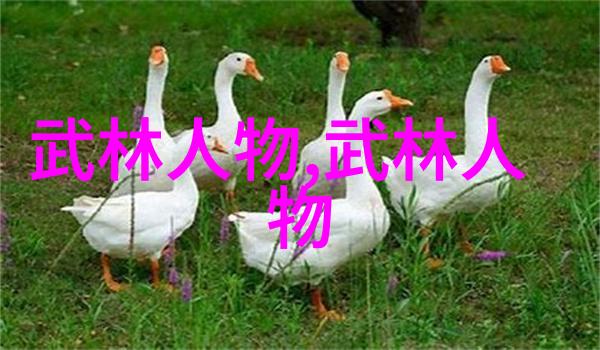 太极拳24式详解视频掌握全套经典动作