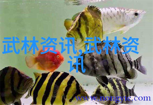 笑谈帮派啻善门