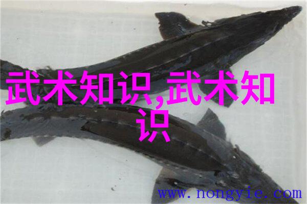 武当派中华武术之巅峰