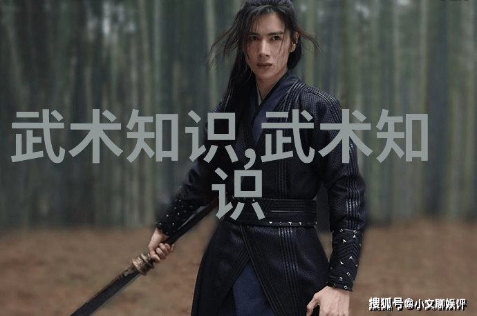 古代武术训练方法-劈云斩霜探秘古代武林修炼之道