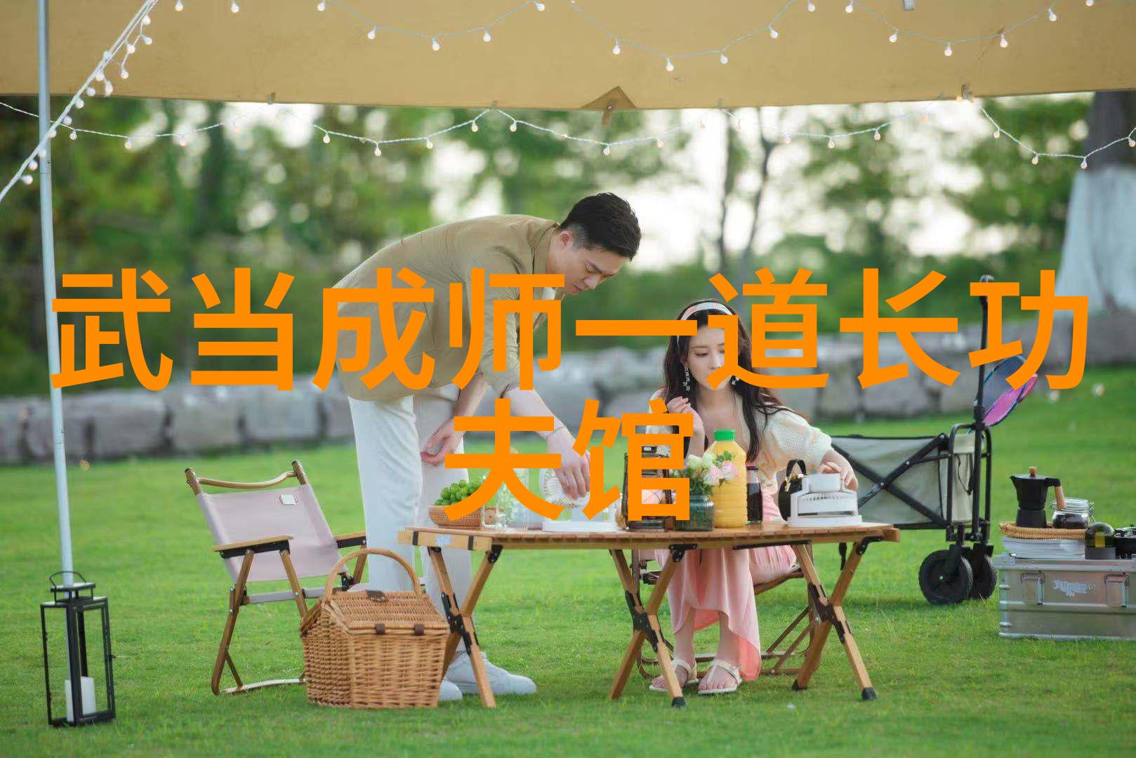 太极拳24式分解动作教学揭秘古老武术中的精髓与流畅