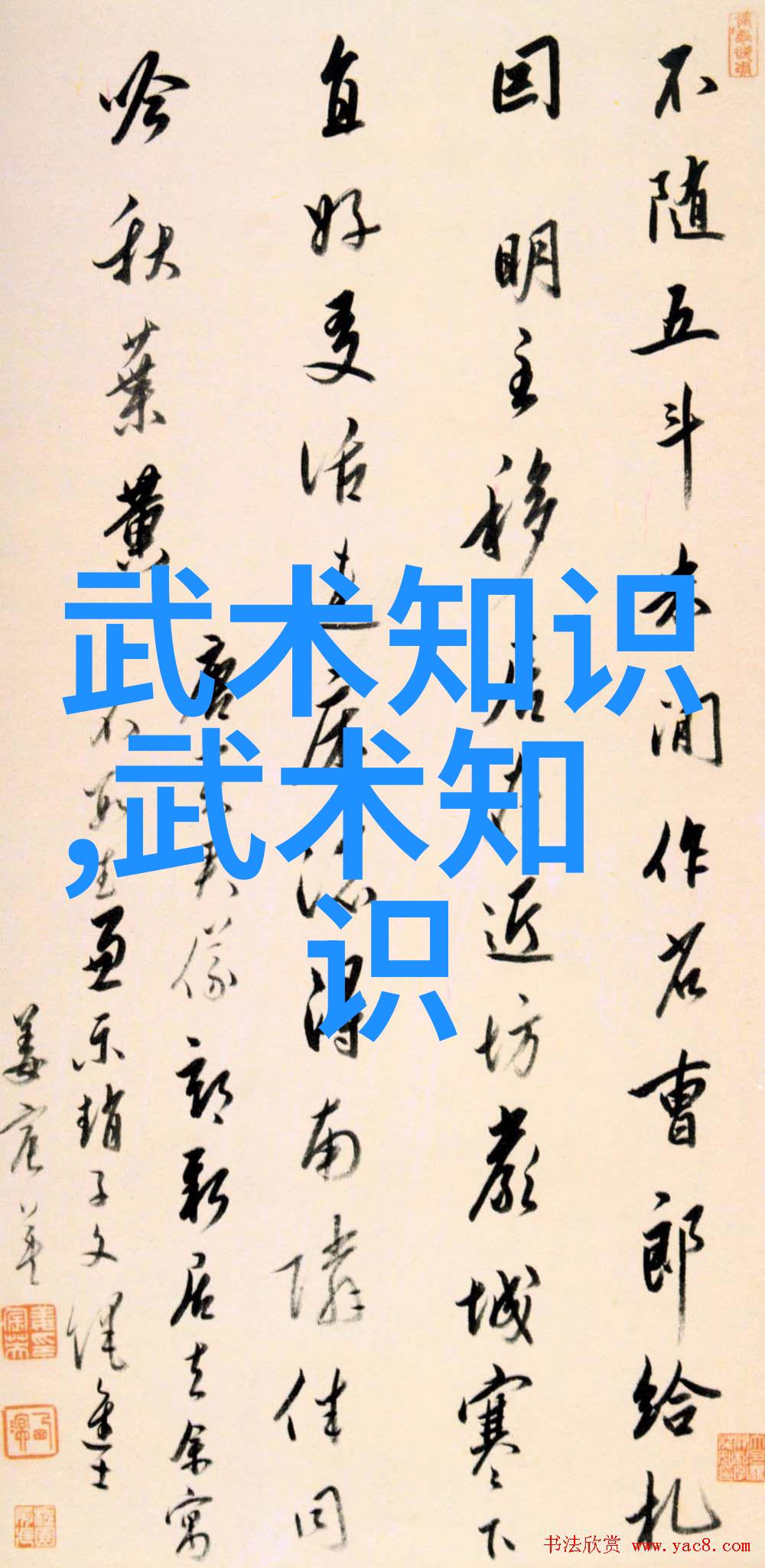 静与动太极拳24式的和谐对比