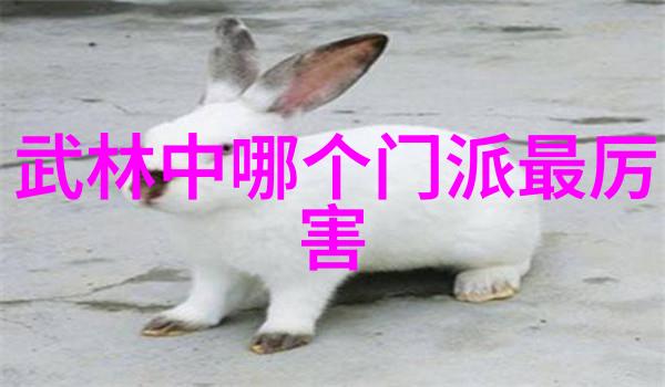 神通广大指南针演变之谜