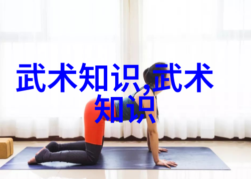拳法秘籍武林绝学的光辉篇章