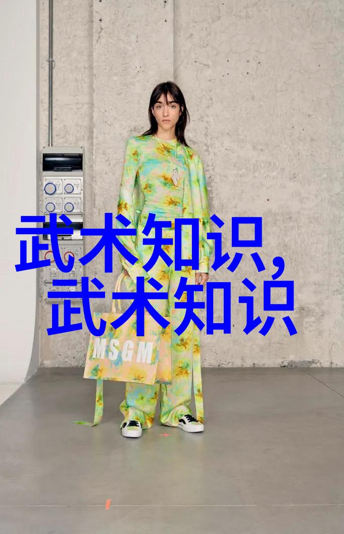 数据解析揭秘偏沉则随双重则滞杨志英的武功与武术区别深度分析