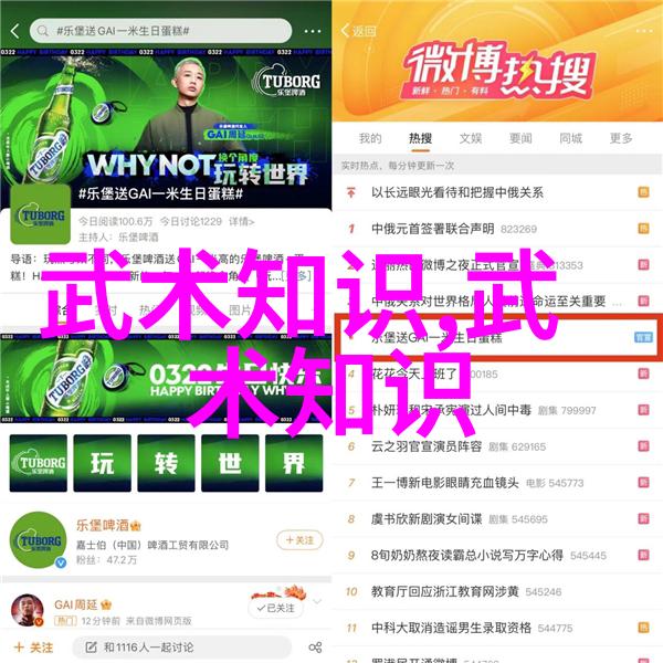 拳影纷飞武术活动名称的奇妙世界