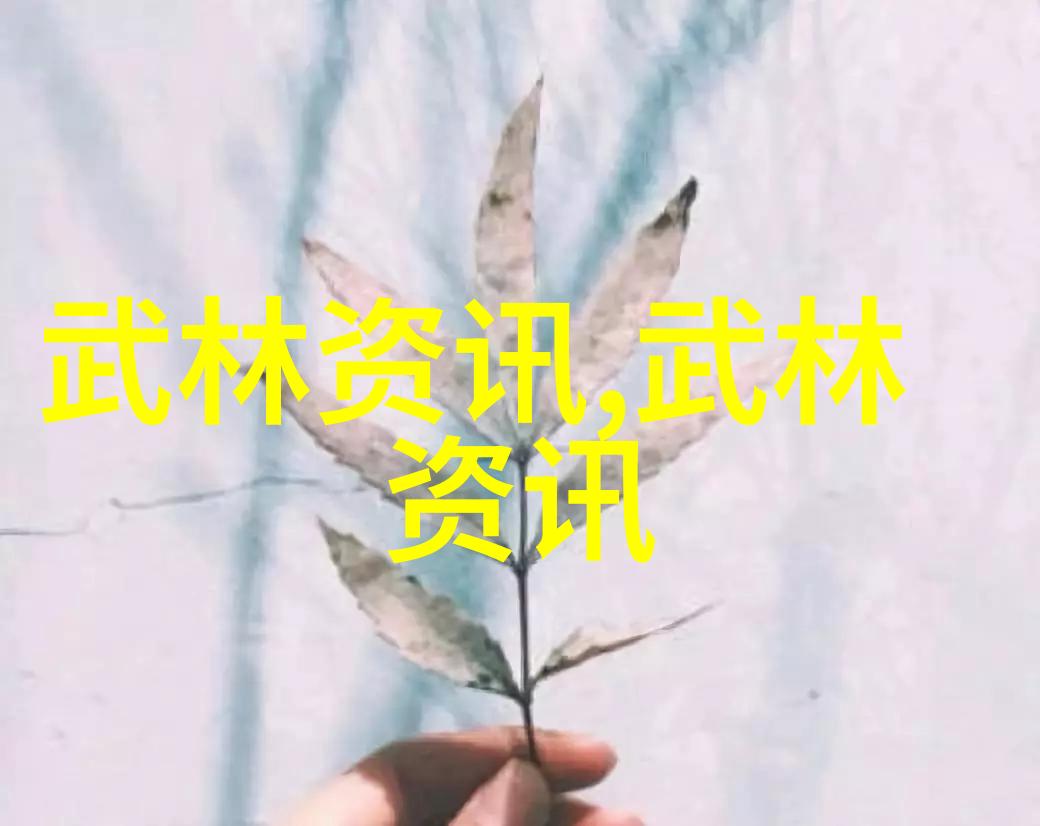 武林绝学少林拳法之巅