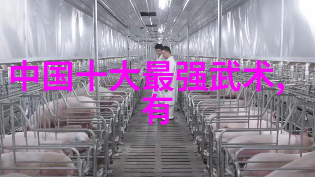 八三年武术事件揭秘江湖风云与内斗