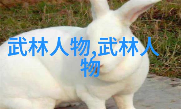 程派高式八卦掌风华社的社会舞台