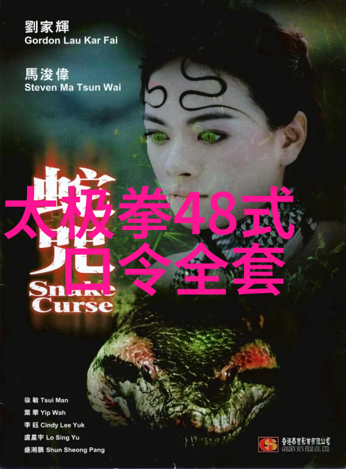 试说少林派太祖门