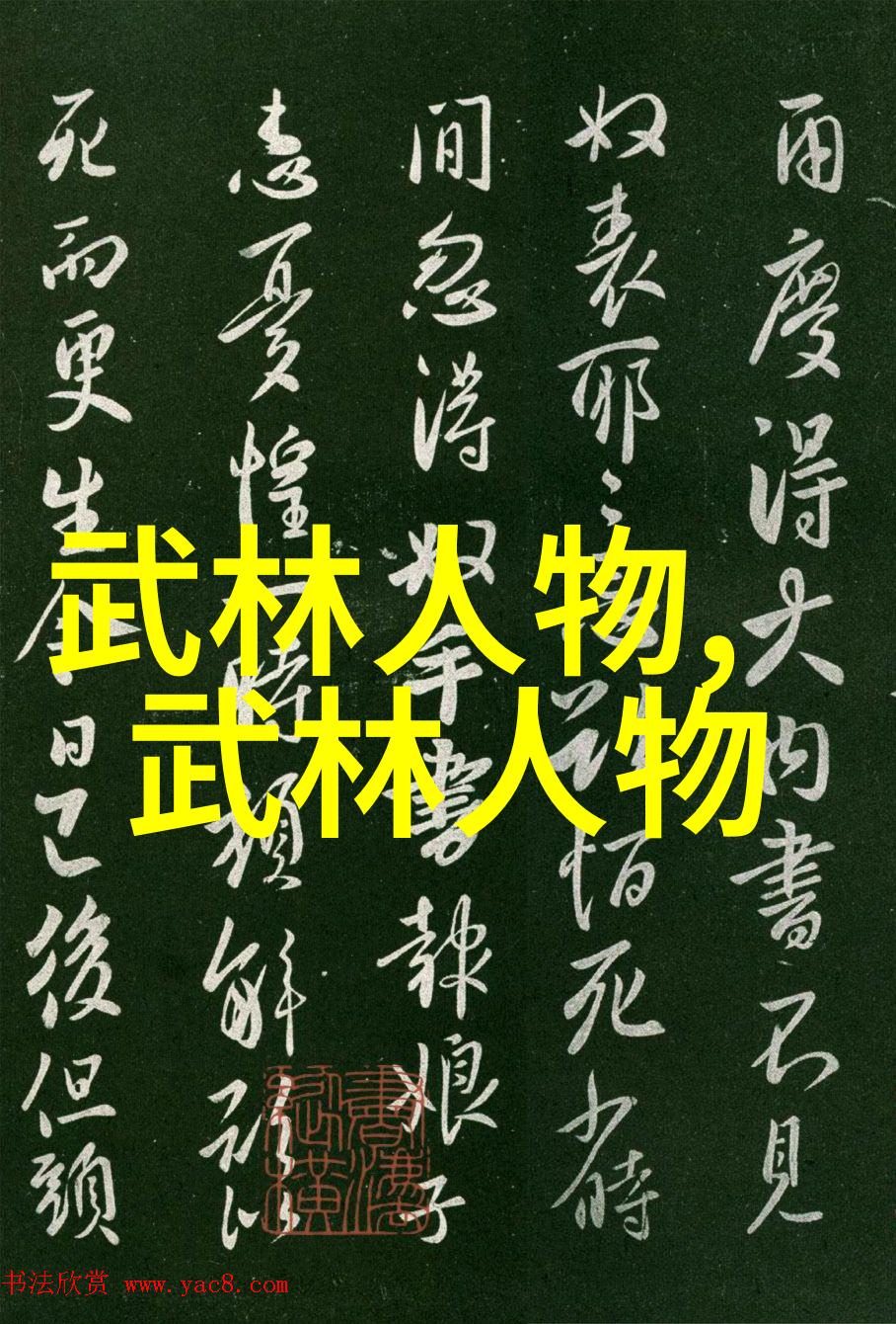 LPGA四强巨擘马奎尔帕佳瑞格兰特古江彩佳驾驭球技如同大众高尔夫精准操控每杆都透着胜利的信心