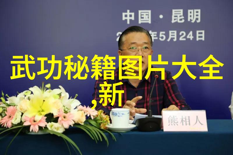 太极拳24式揭秘每一步的艺术与实践