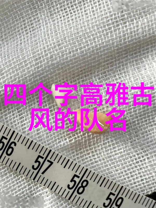 中国武术十大门派我是如何揭秘这十大门派的秘密之道的