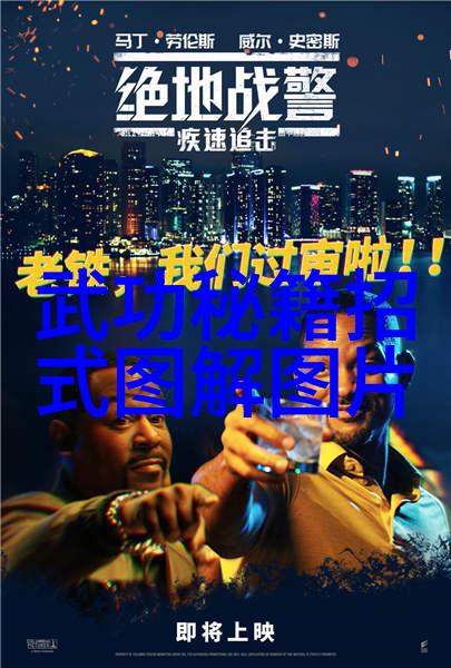 武学秘籍掌握基本技巧与进阶招式的武术教程