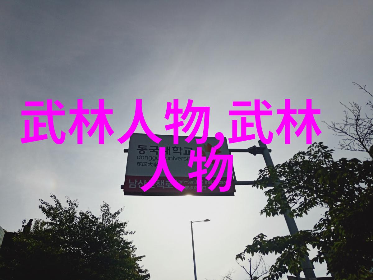 华山拳谱中国古老意拳之美