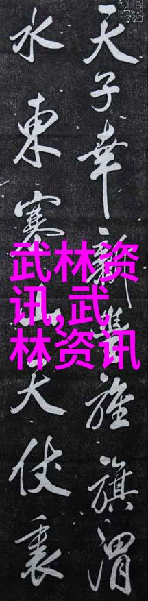 中国功夫秘籍大全-解密中华武学揭秘中国功夫秘籍大全
