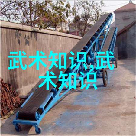 中国武术探秘你我他中国30个武术门派的故事