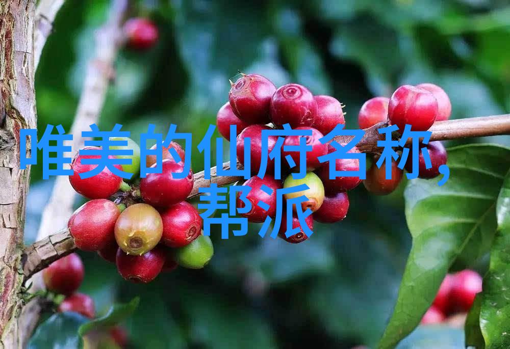 降低胆固醇的饮食-脂肪与糖分掌握降低血液胆固醇的营养学原则