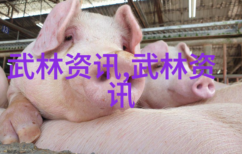 古籍武学探秘揭开老武术书籍的奥秘