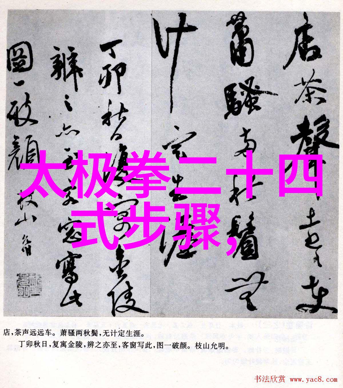 功夫大全招式拳法 - 练习武林绝学掌握内外秘籍