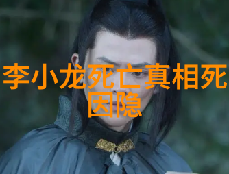 门派拳种合页通背
