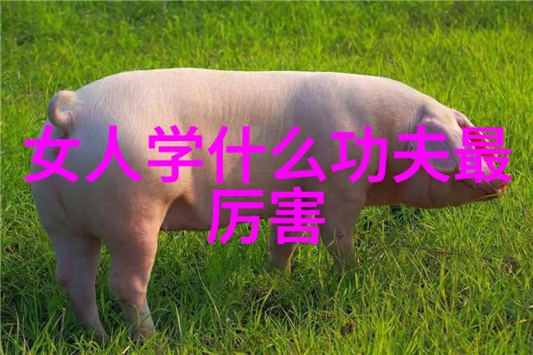怎样锻炼胸肌卧推俯撑技巧大揭秘